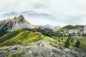 Adaptacja projektów do zmian klimatu — odporne i przyjazne środowisku rozwiązania